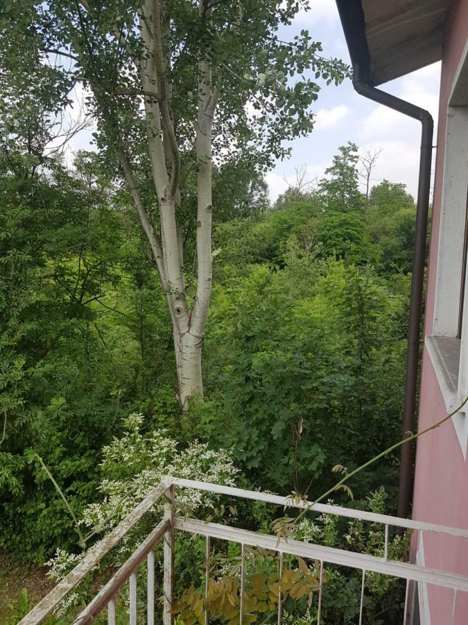 Le Case Nel Bosco Vanzago Exterior photo